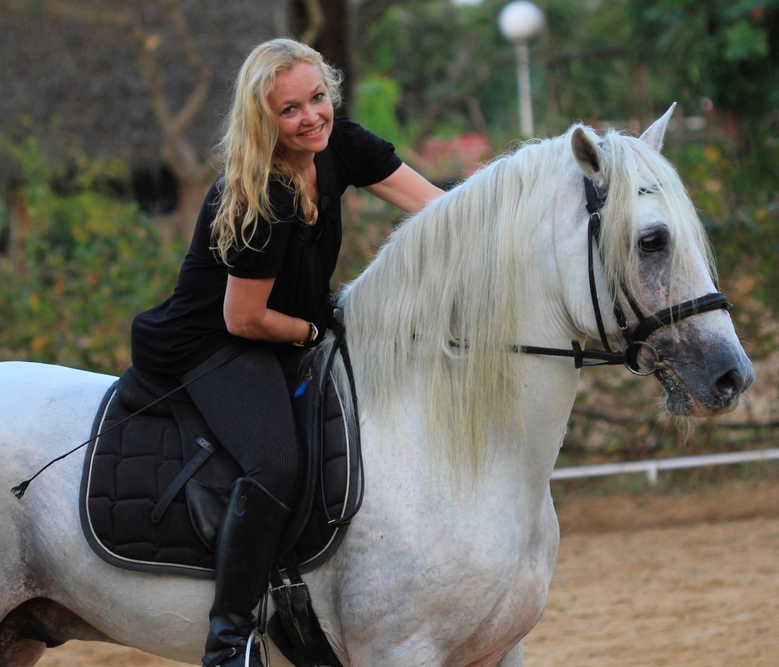 Equine-Inspired